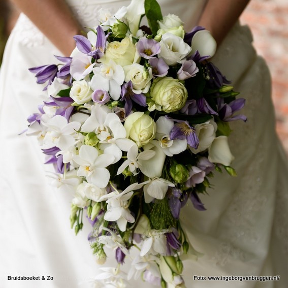 Permanent Grommen Dagelijks bruidsboeket druppel orchidee en rozen paars wit - Bruidsboeket |  Locatiebloemwerk | corsages | trouwboog | prieeltje